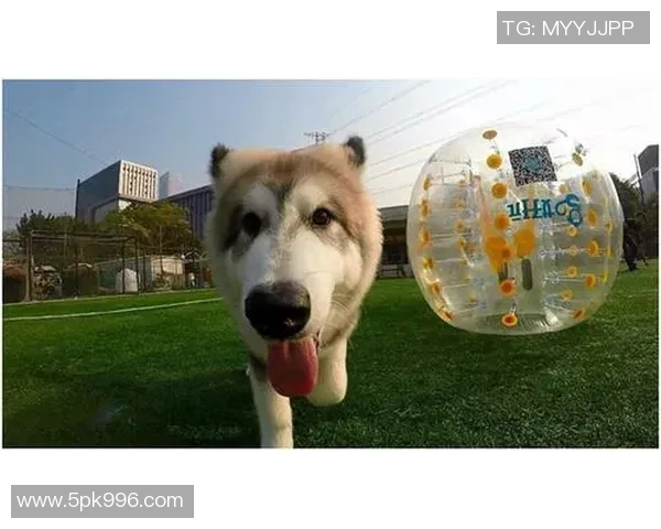 足球明星们的喷水枪卡点挑战赛趣味无限，谁能笑到最后