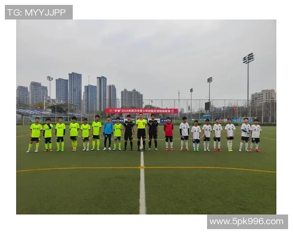 2019年武汉足球赛事回顾与展望球迷热情与城市发展的交融