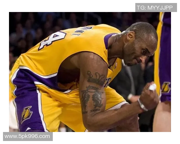 探索Samba篮球明星的辉煌历程与传奇故事揭示他们背后的奋斗与激情