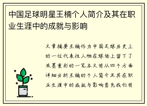中国足球明星王楠个人简介及其在职业生涯中的成就与影响